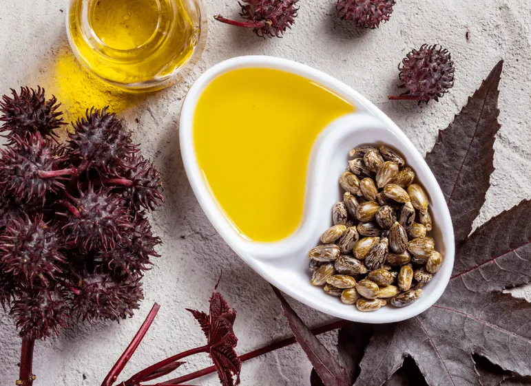 Castor beans and a dish of castor oil, the source material for undecylenic acid